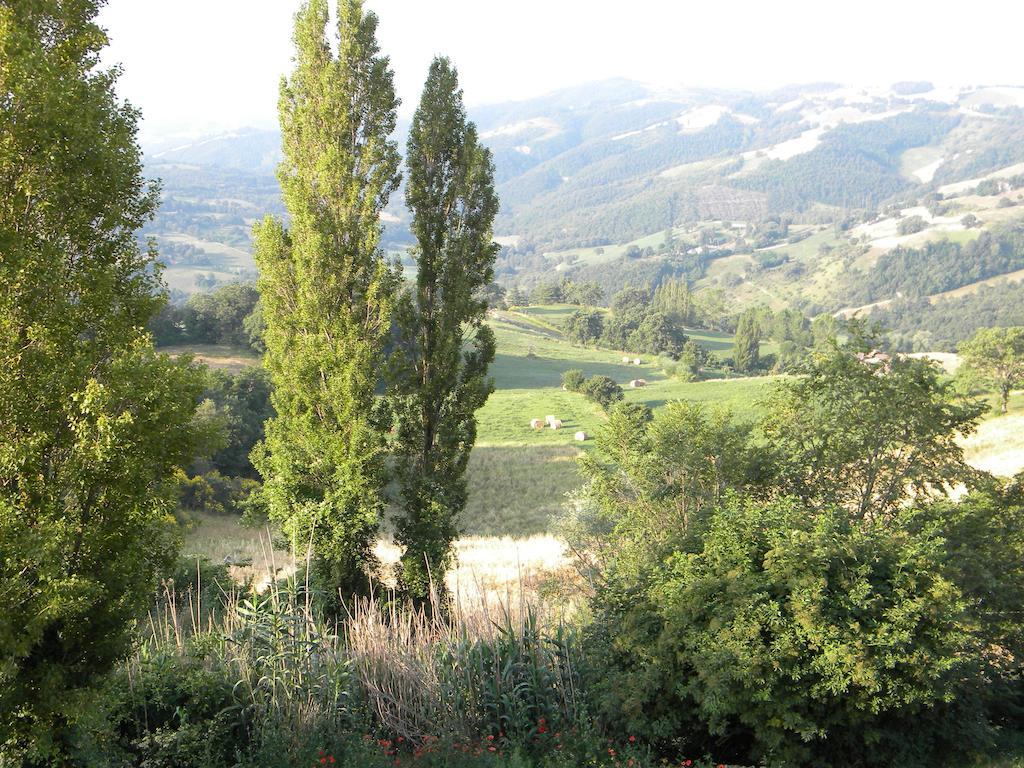 הוילה פייטרלונגה Agriturismo Borgo San Benedetto מראה חיצוני תמונה