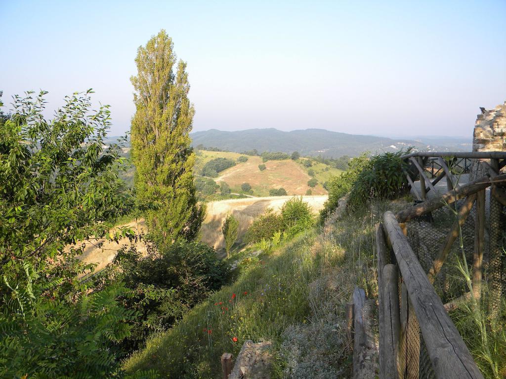 הוילה פייטרלונגה Agriturismo Borgo San Benedetto מראה חיצוני תמונה