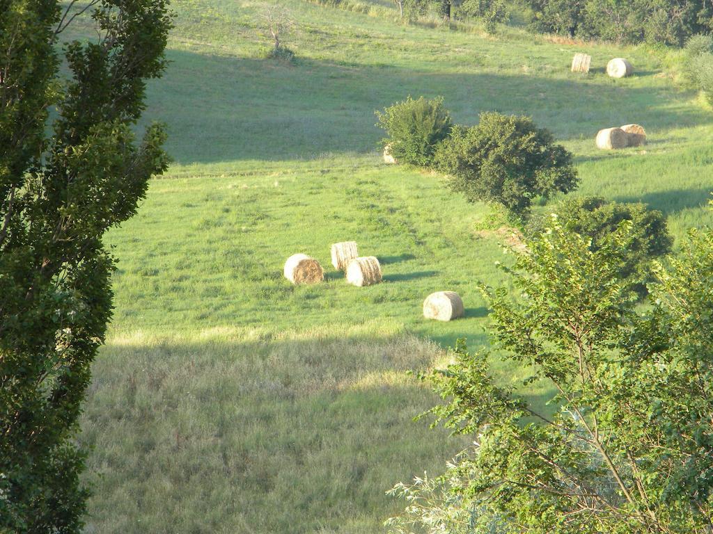הוילה פייטרלונגה Agriturismo Borgo San Benedetto מראה חיצוני תמונה