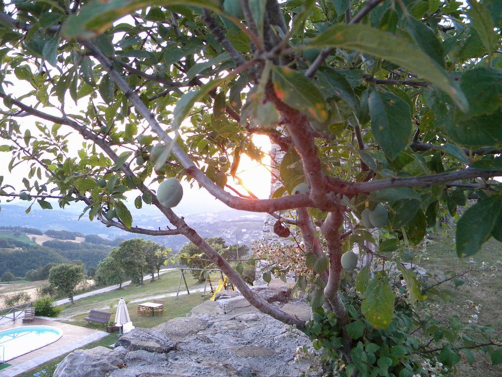 הוילה פייטרלונגה Agriturismo Borgo San Benedetto מראה חיצוני תמונה