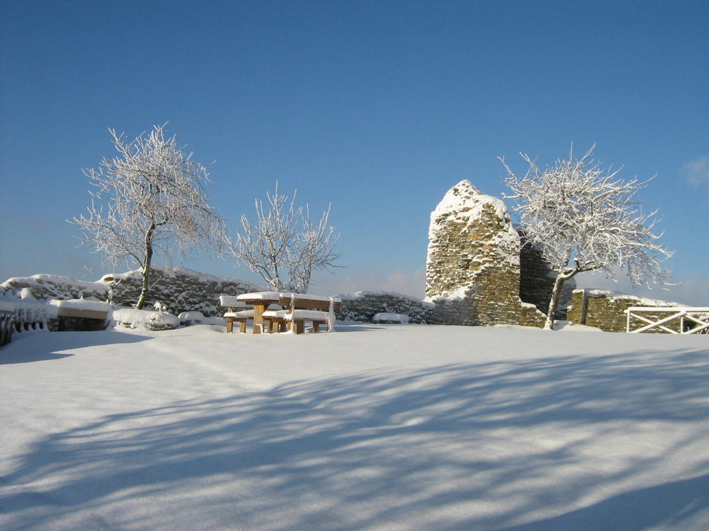 הוילה פייטרלונגה Agriturismo Borgo San Benedetto מראה חיצוני תמונה