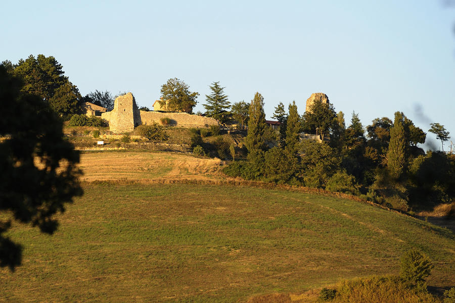 הוילה פייטרלונגה Agriturismo Borgo San Benedetto מראה חיצוני תמונה